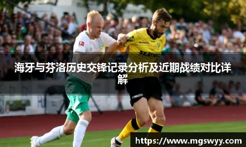 海牙与芬洛历史交锋记录分析及近期战绩对比详解