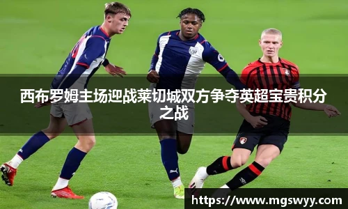 西布罗姆主场迎战莱切城双方争夺英超宝贵积分之战